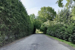 Quiet Luxury in the Heart of the Hamptons